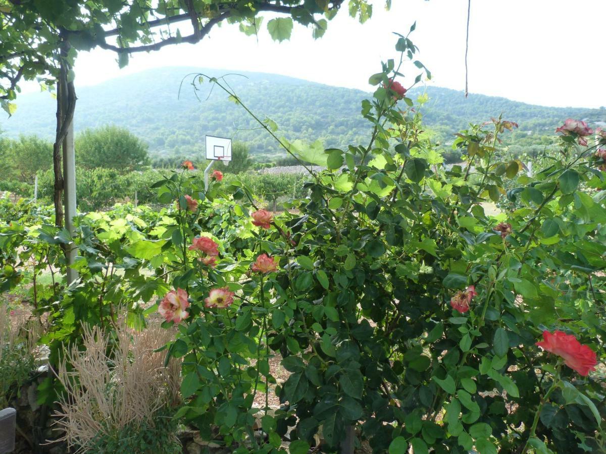 Country House Speedy Komiža Buitenkant foto